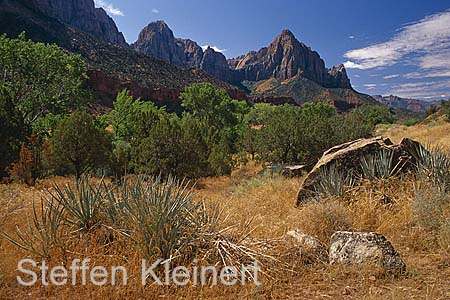 zion np 028